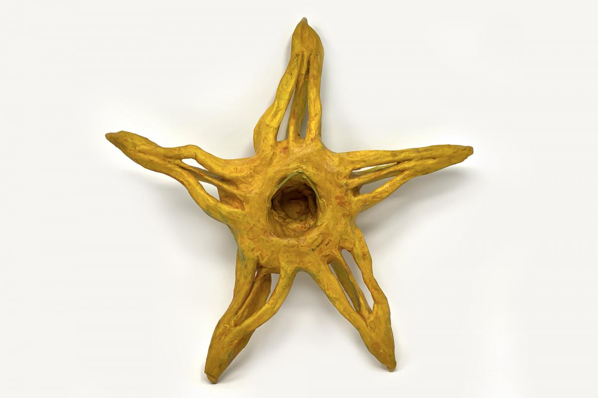 Artemis the Starfish Wall Sculpture picture