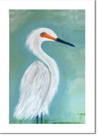 Dutchess - White Egret