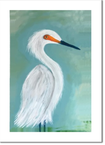 Dutchess - White Egret picture