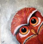 "Kilroy" The Red Owl