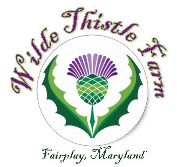 Wilde Thistle Farm