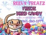Reely Treatz Freeze dried Candy