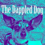 The Dappled Dog Rescue & Shop
