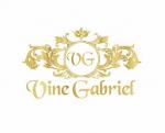 Vine Gabriel