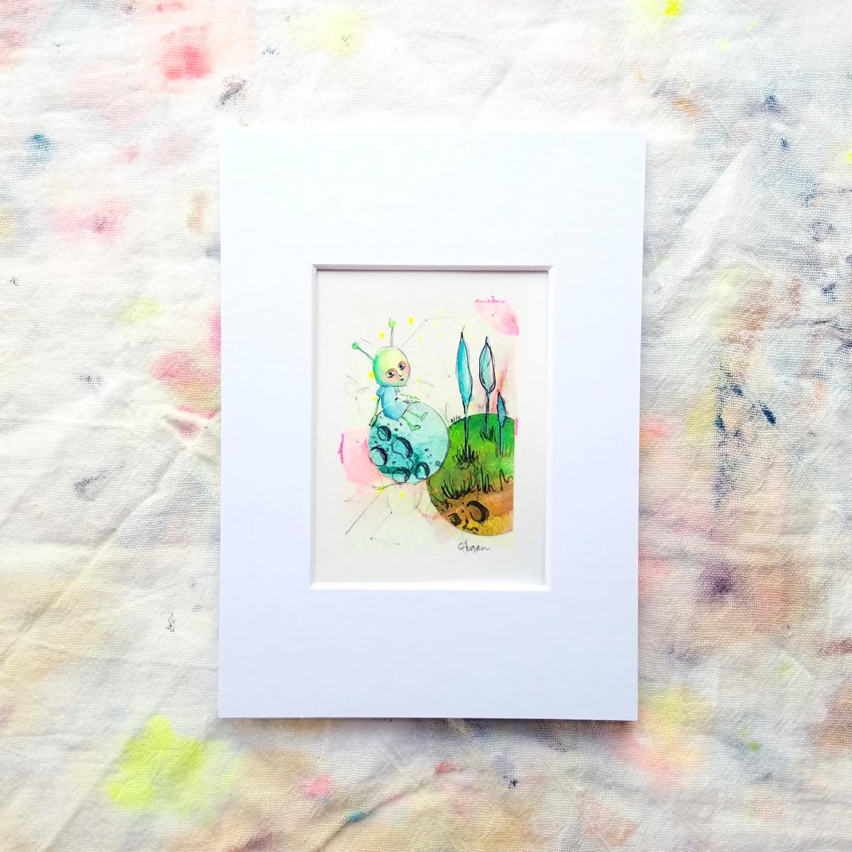 Admiral Gardenplant picture