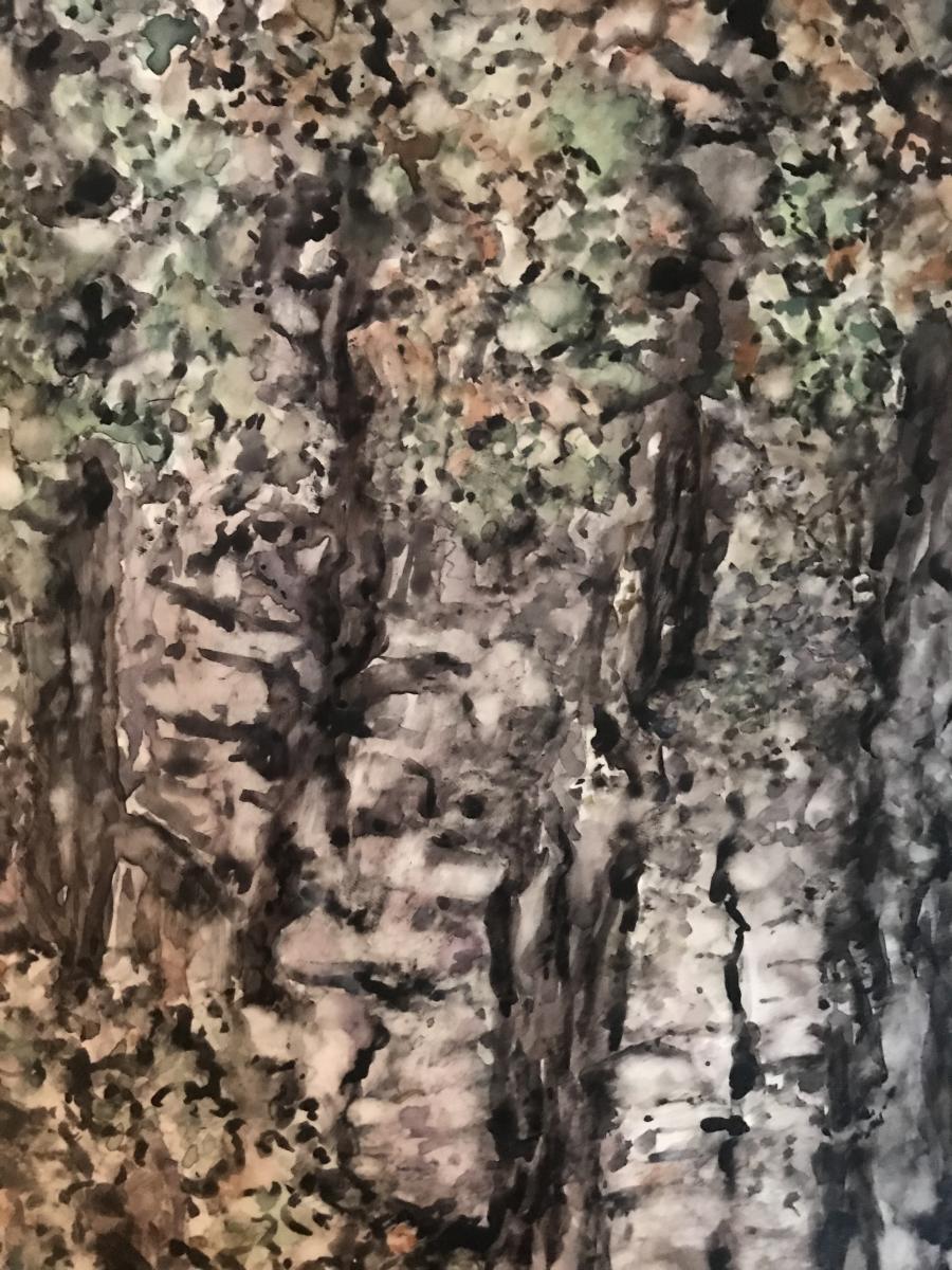 Winter Lichens picture