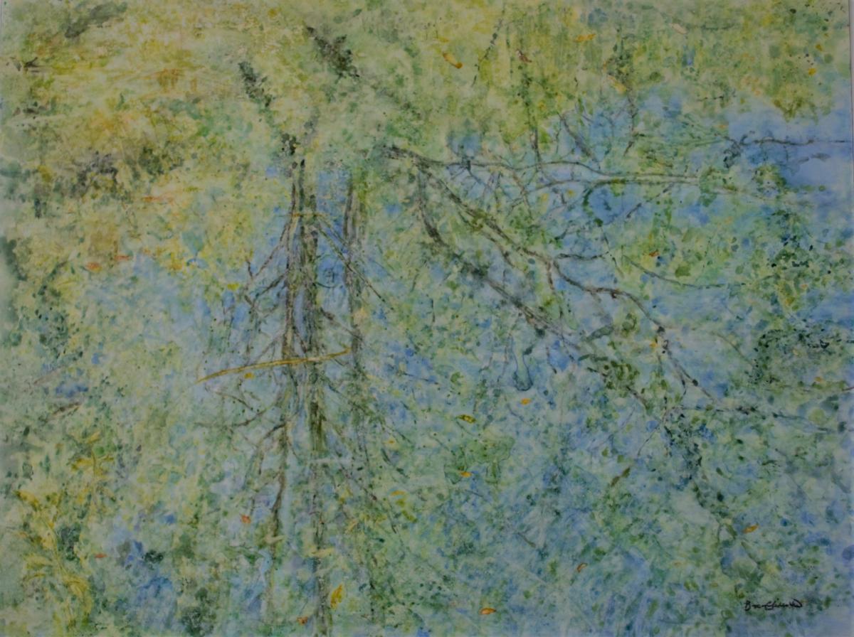 A Reflection of an Early Spring picture