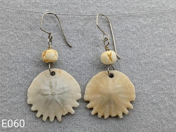 Fossilized Sand Dollar earrings