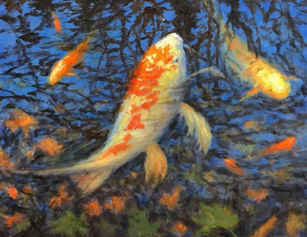 Koi picture