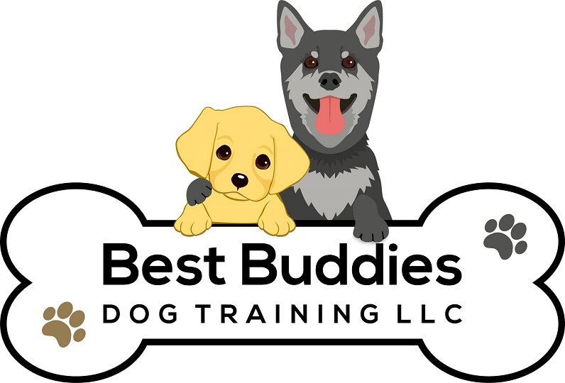 Best Buddies Dog Training