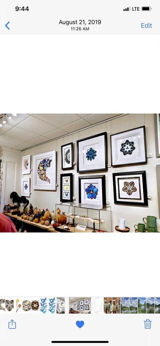 Large swarms picture