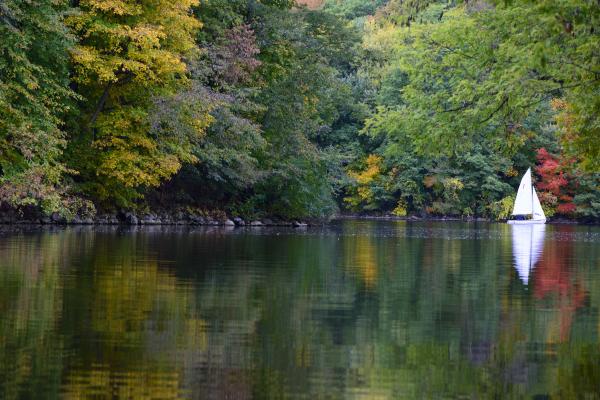 Sailing on Lake Macbride