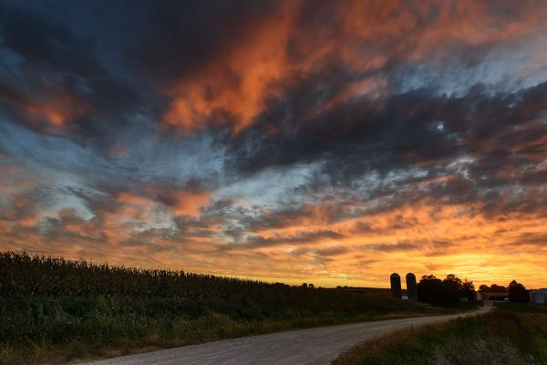 Henik Road Sunset picture