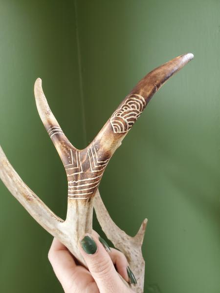Carved Deer Antler picture