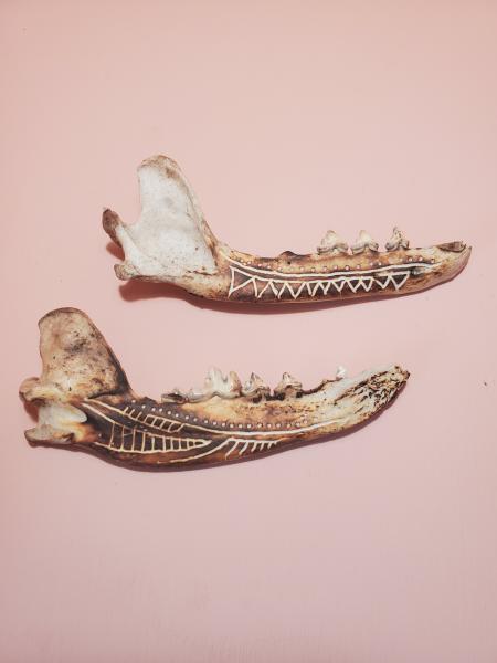 Carved Coyote Jaw Bone picture