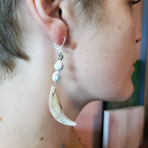Coyote Canine Tooth Earrrings picture