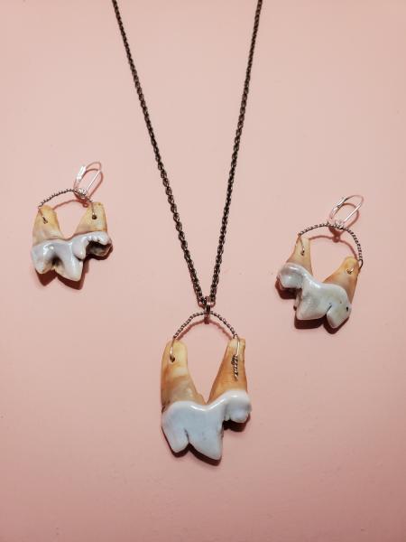 Coyote Molar Necklace picture