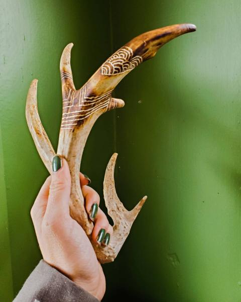 Carved Deer Antler picture