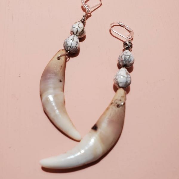 Coyote Canine Tooth Earrrings picture