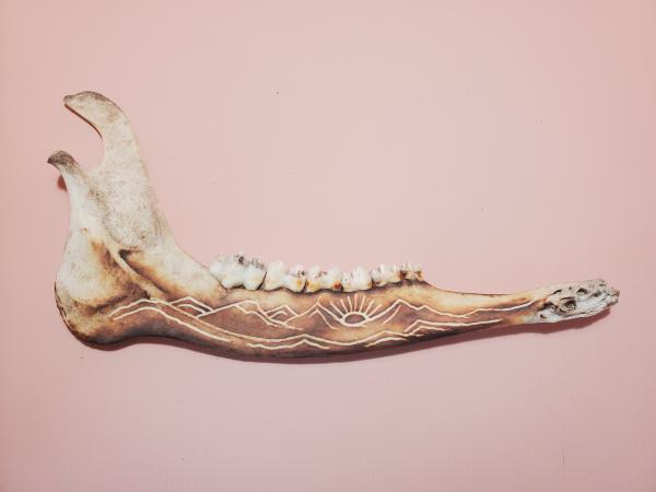 Carved Deer Jaw bone picture