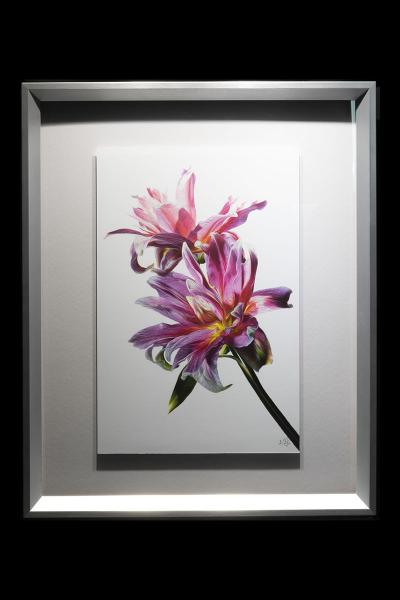 Pink Lily Duo Vertical Framed picture