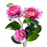 Pink Camelia Trio