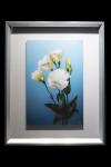 Lizianthus Framed