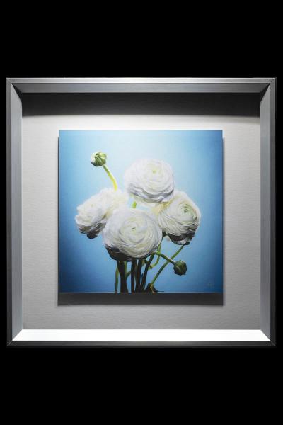 Ranunculus Framed picture