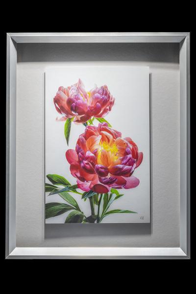 Pink Peony Duo Vertical picture