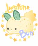 LemonBun Doodle Shoppe
