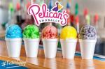 Pelicans SnoBalls