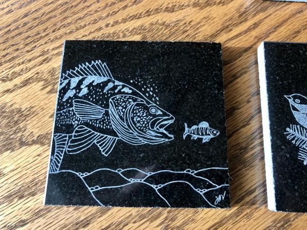 Etched walleye coaster/tile picture