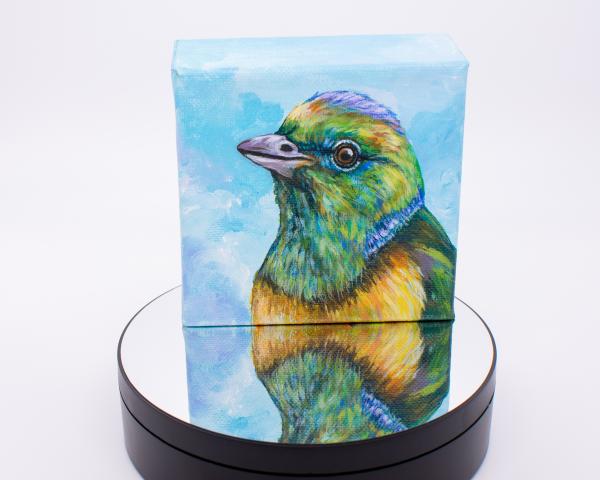 Blue-naped Bird