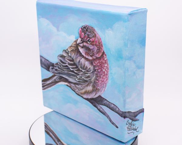 House Finch Bird Painting picture