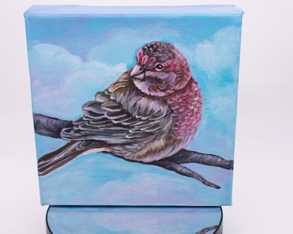 House Finch Bird Painting picture