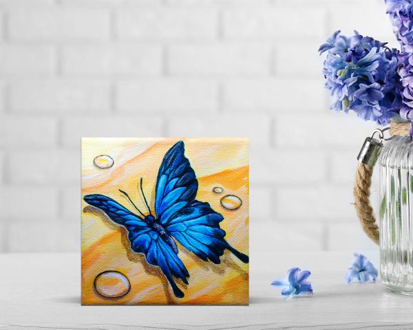 Blue Morpho Butterfly picture
