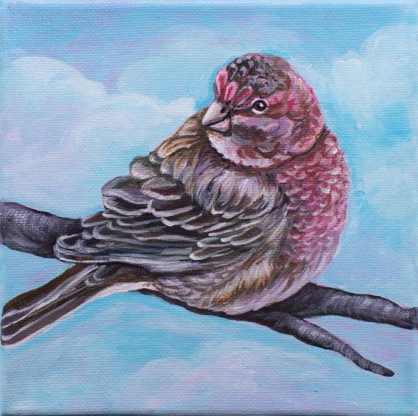 House Finch Bird Painting