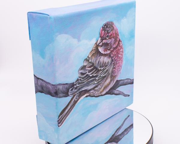 House Finch Bird Painting picture