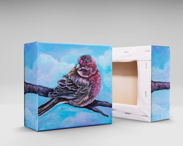 House Finch Bird Painting picture