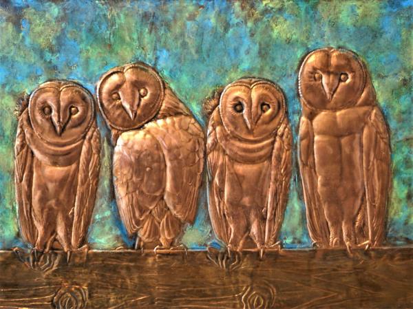 Four Barn Owls