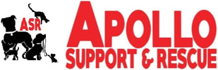 Apollo Support & Rescue