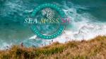 Sea Moss Me LLC