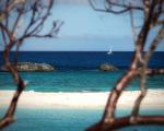 Boat Through the Trees