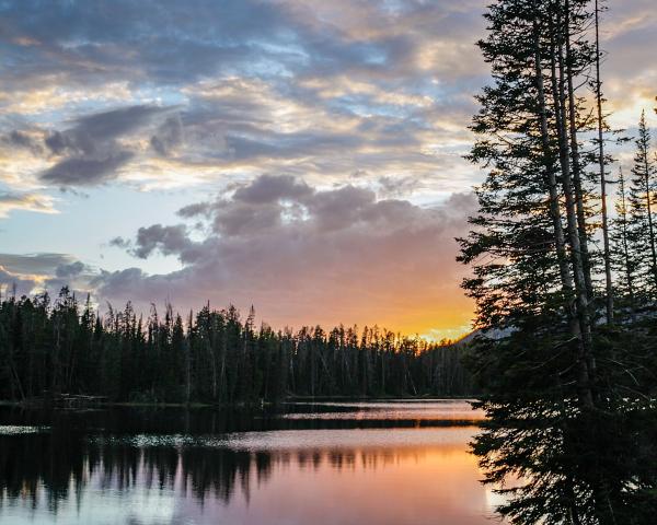 Lake Yellowstone picture