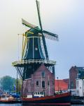 Windmill in Haarlem