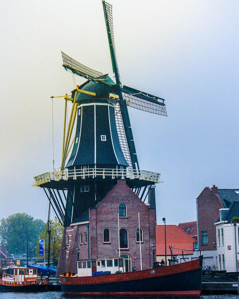 Windmill in Haarlem picture