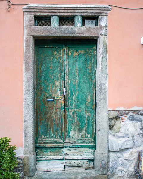 Door #22 Monterosso picture