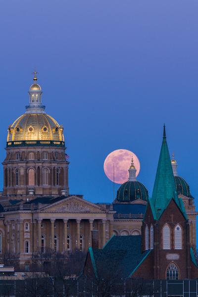 Pink Supermoon Over Capitol #1 picture