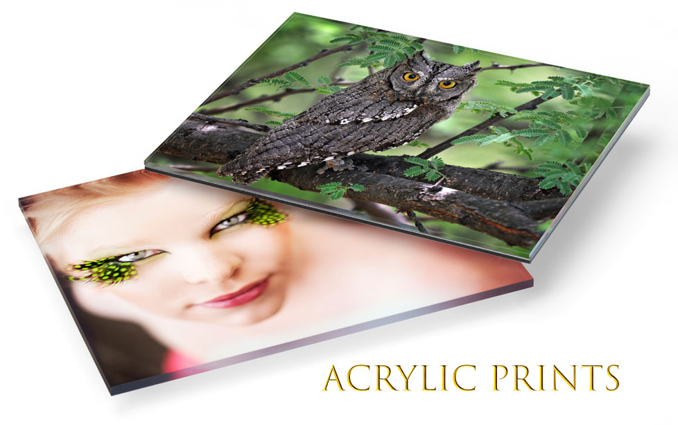 The Perching Tree picture