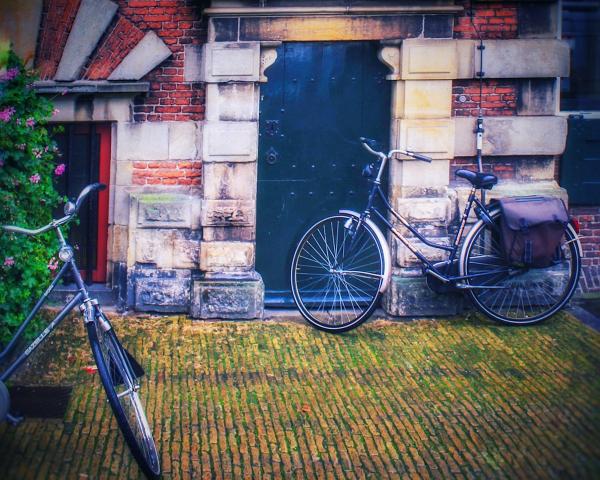 Bikes & Bricks (h)
